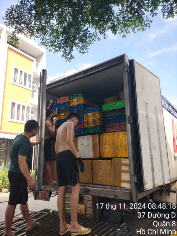 Các dự án tiêu biểu của công ty!